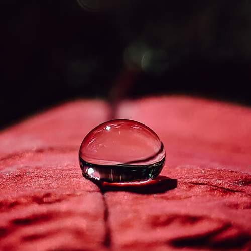 Photo #8085226