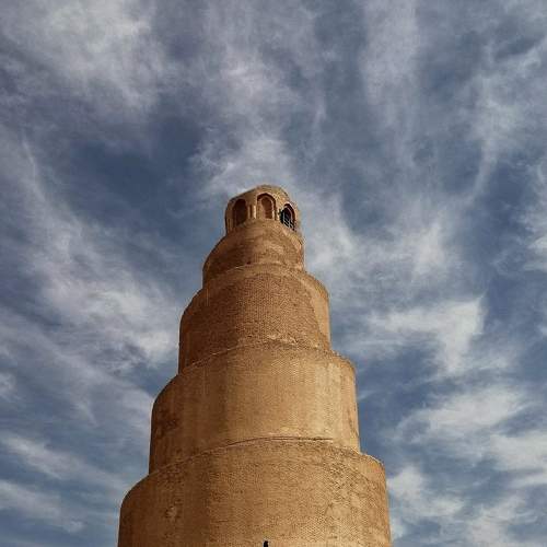 Photo #8085763
