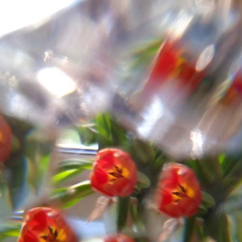 Photo #8085879