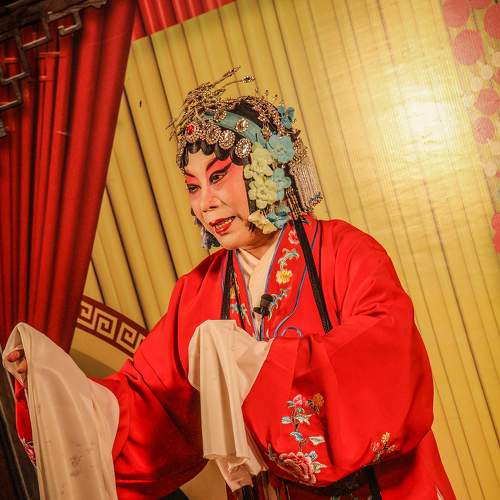 Photo #8085992
