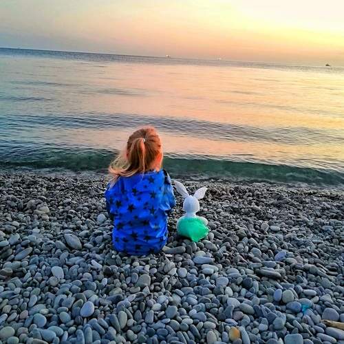 Photo #8086352