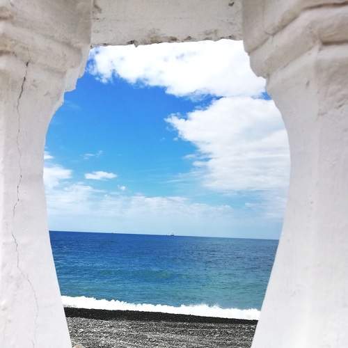 Photo #8086360