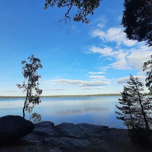 Photo #8086388