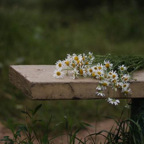 Photo #8086414