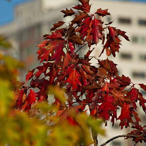 Photo #8086444