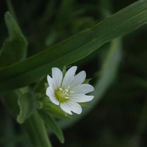 Photo #8086463
