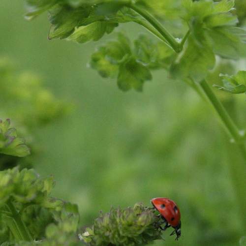Photo #8086464