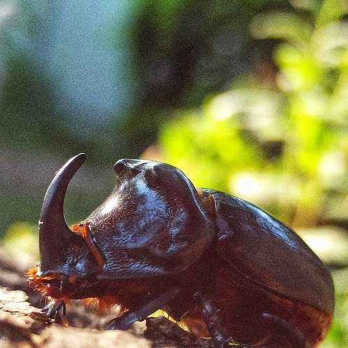 Photo #8086520