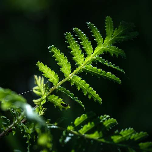Photo #8086660