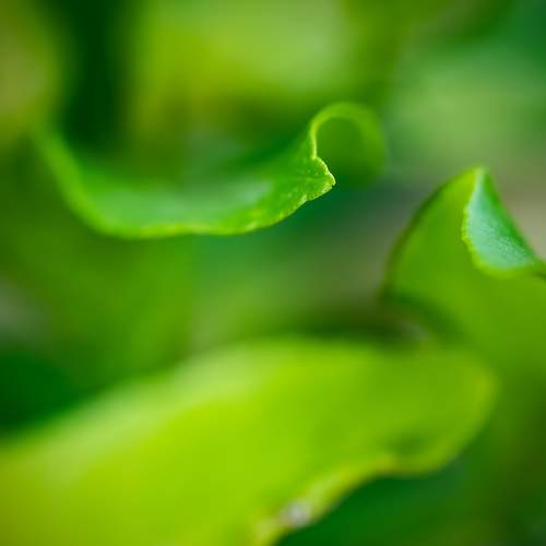 Photo #8086673