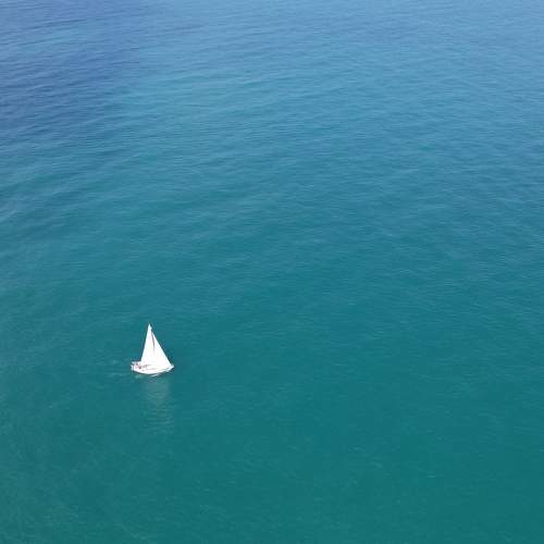 Photo #8086759