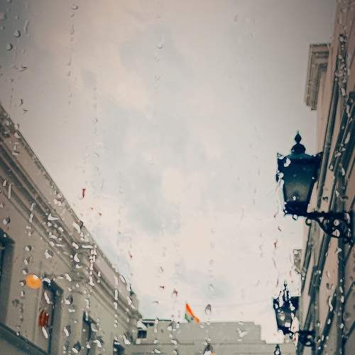 Photo #8086780