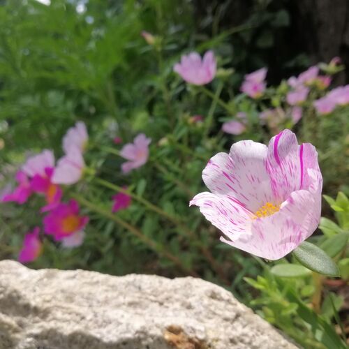 Photo #8086997