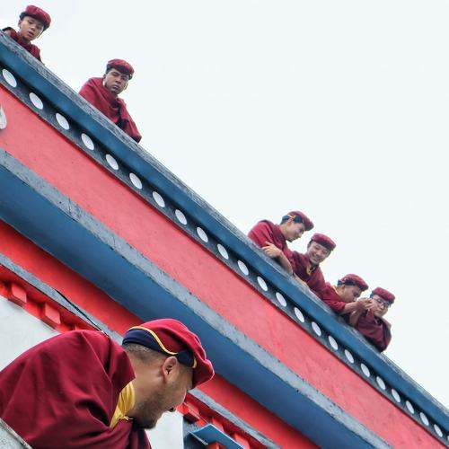 Photo #8087112