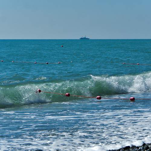 Photo #8087120