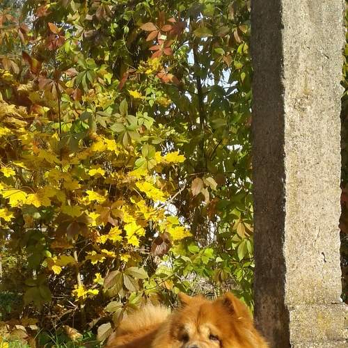 Photo #8087545