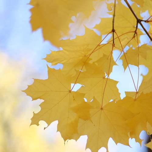 Photo #8087875
