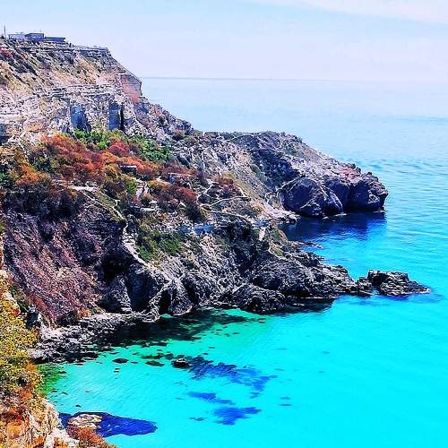 Photo #8087885