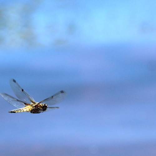 Photo #8088164