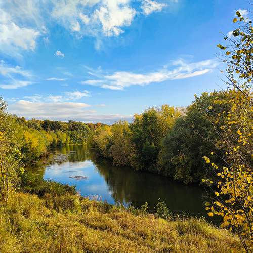 Photo #8088423