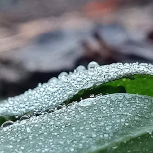 Photo #8088605