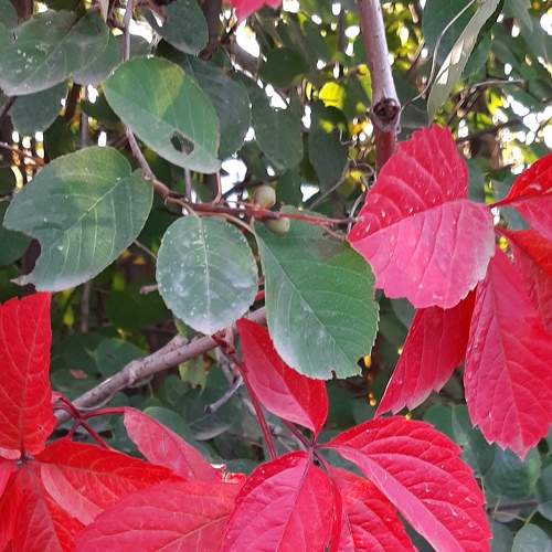 Photo #8088668