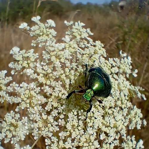 Photo #8088681