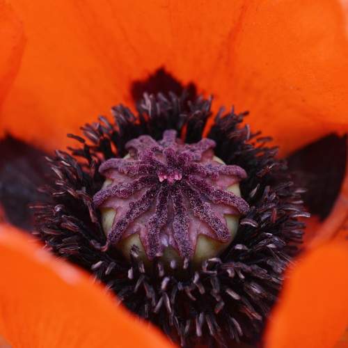 Photo #8088708