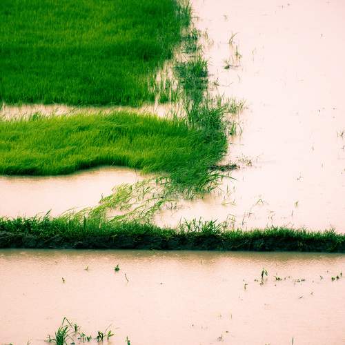Photo #8088858