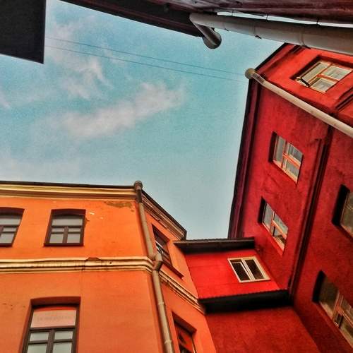 Photo #8089165