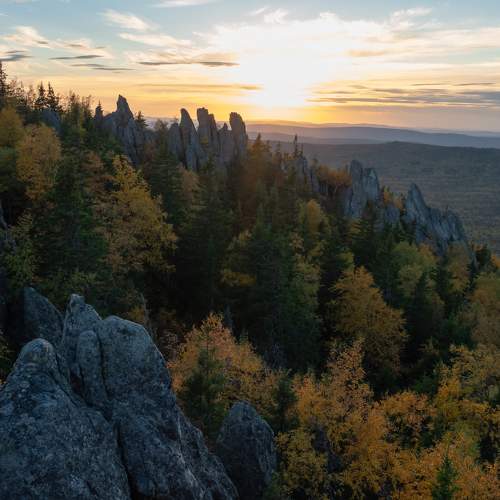 Photo #8089232