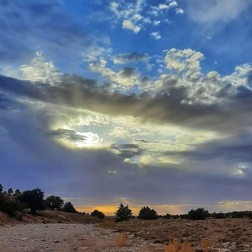 Photo #8089476