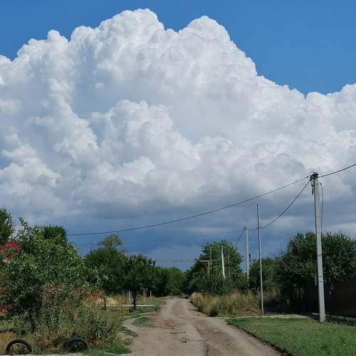 Photo #8089760