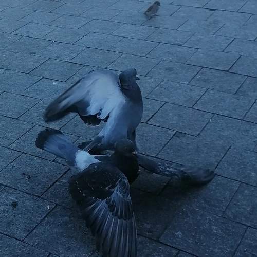 Photo #8089852