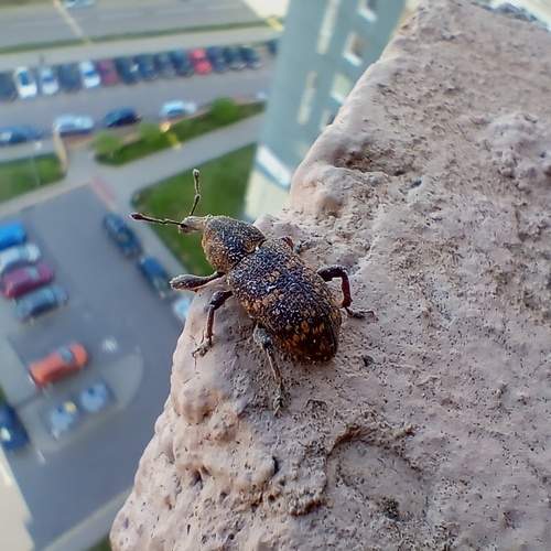 Photo #8090028