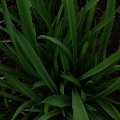 Photo #8091110