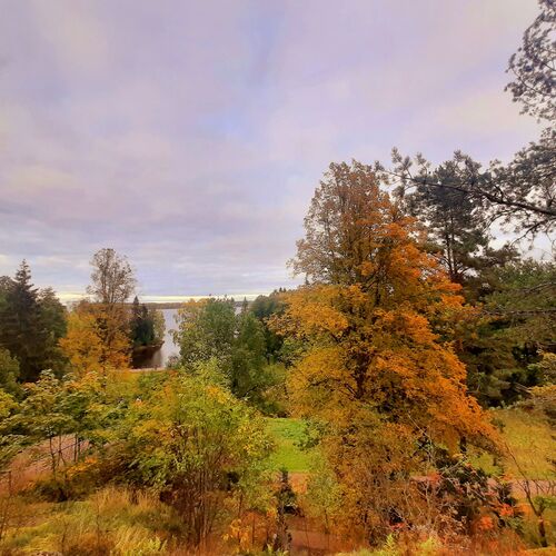 Photo #8091540