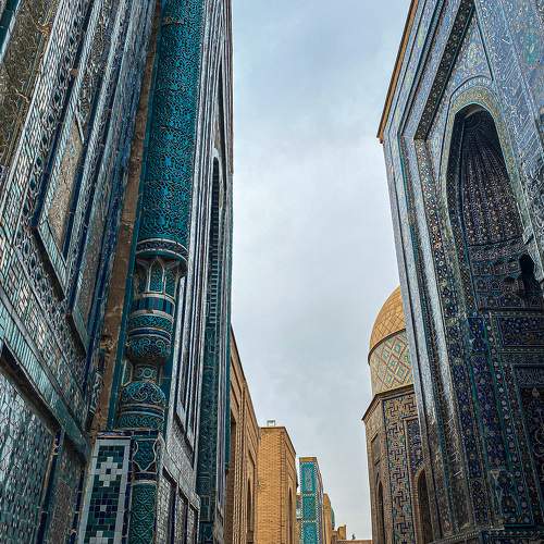 Photo #8091608
