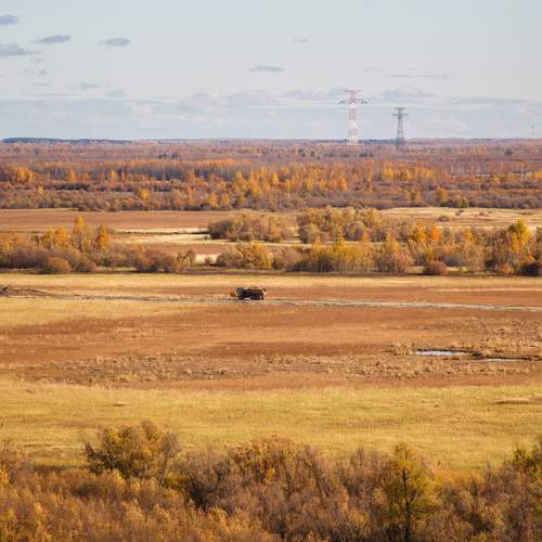 Photo #8091744
