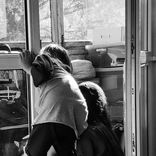 Photo #8092001