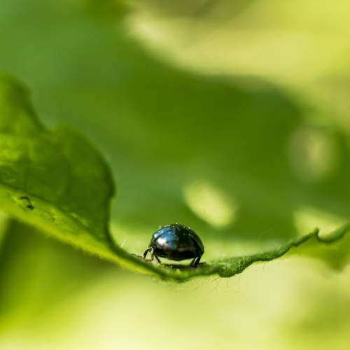 Photo #8092066