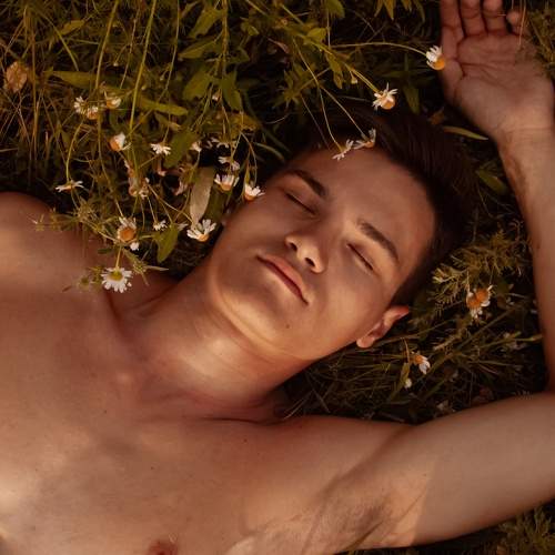 Photo #8092190