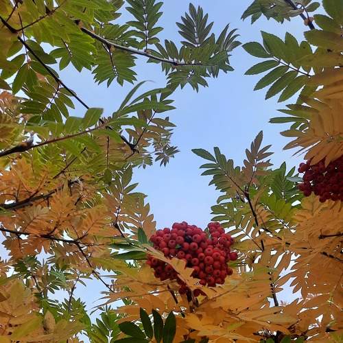 Photo #8092274