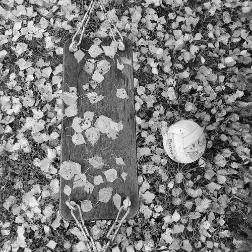 Photo #8092297