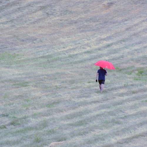 Photo #8092471