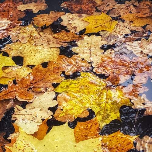Photo #8092654