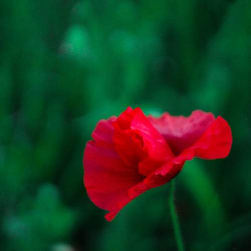 Photo #8093055