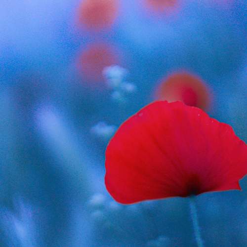 Photo #8093058