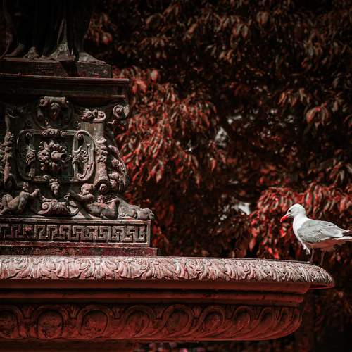 Photo #8093079