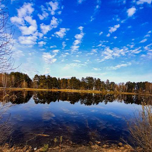 Photo #8094181